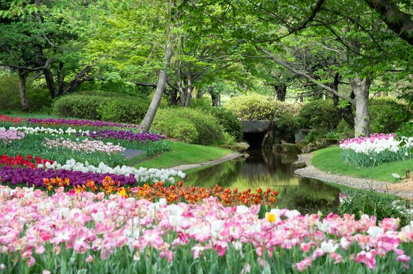 Ein idyllischer Garten mit bunten Blumenbeeten entlang eines ruhigen Teichs, umgeben von üppigem Grün.